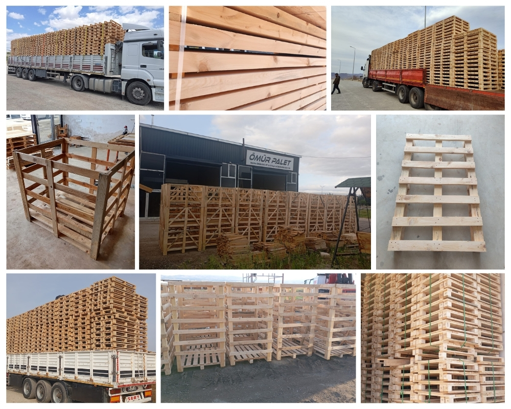 Molfetta Palette Europe, Acheter des palettes en gros
